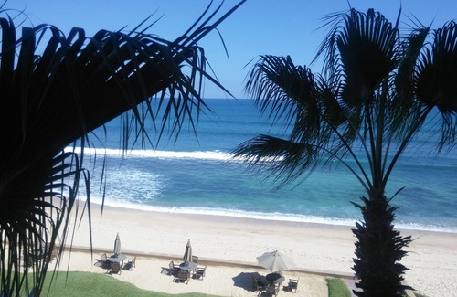 Palmilla Condominio | Cómodo y hermoso Acción y relajación ¡Todo está bien aquí!