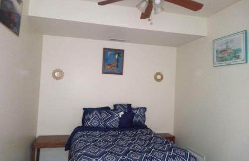 Niskayuna Apartamento | comfy cozy roomy