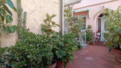 Torre del Lago Puccini Apartamento | Comfy Flat by Belcanto Villas