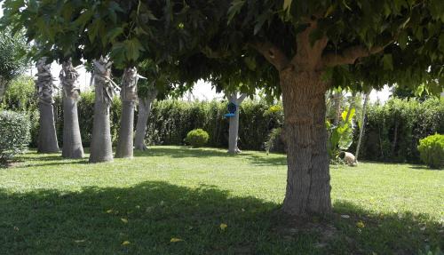 San Lorenzo Apartamento | Comodo Appartamento al Piano Terra in Villa a San Lorenzo