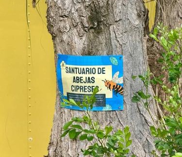 Colonia Campestre Casa | Comodo y brillante alojamiento para 5