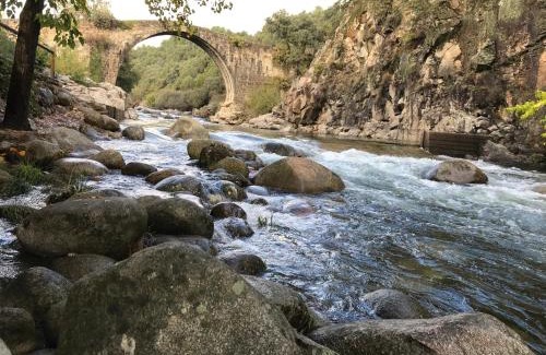 Madrigal de la Vera Otro | Complejo Camping La Mata