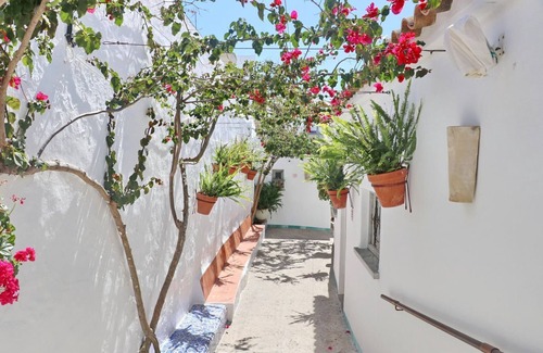 Centro de Conil de la Frontera Apartamento | Complejo La Chanca, HAB 16