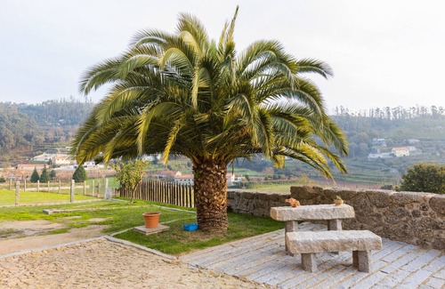 Penso Apartamento | Complete apartment in a country estate