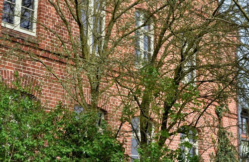 Oberhavel Casa | Complete guesthouse on the Finow Canal (former school from 1875) for 12 people