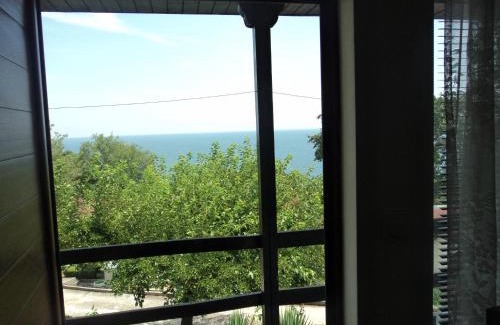 Varna Complejo | Complex Fichoza