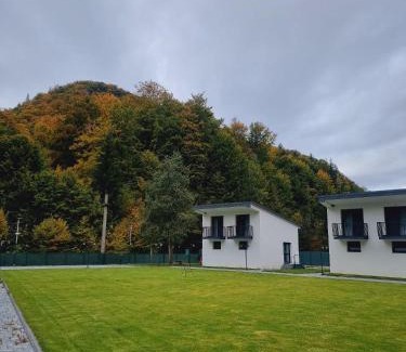 Bistrita Bargaului Otro | Complex WhiteBerg Haus Colibita