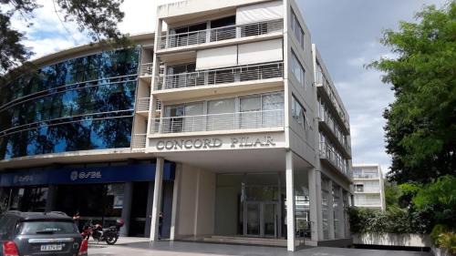 La Lonja Apartamento | Concord Pilar Suite Almendros