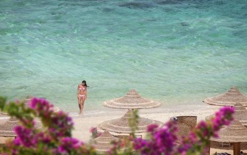Marsa Alam Complejo | Concorde Moreen Beach Resort