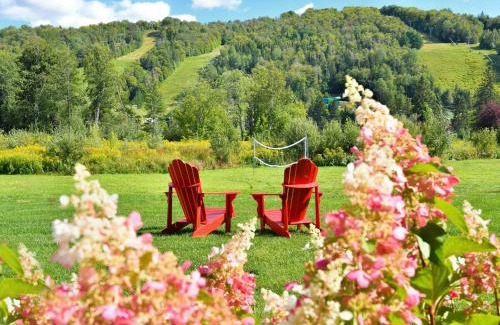 Saint-Sauveur Apartamento | Condo 2 chambres avec accès aux pistes de ski
