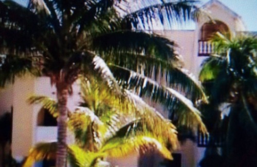 Municipio de Progreso Apartamento | Condo Kayak Trail - water view