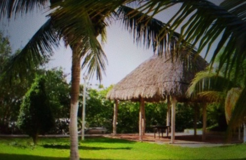 Municipio de Progreso Apartamento | Condo Kayak Trail - water view