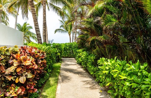 Nuevo Vallarta Condominio | Condo Terra 13 by Kivoya