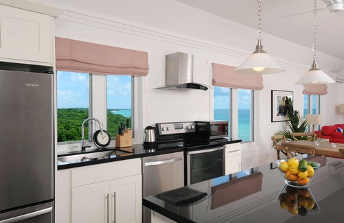 James Cistern Condominio | Nuevo Penthouse Condo con 2 vistas al mar, playa privada, muelle, piscina, carrito de golf