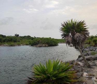 Akumal Apartamento | Condo Yalku - Private access to Lagoon