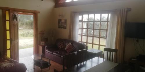 Melipilla Casa | Conectar con la naturaleza te hará más feliz
