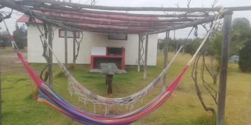 Melipilla Casa | Conectar con la naturaleza te hará más feliz