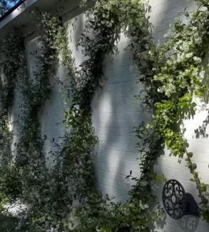 Kremenchuk Apartamento | Confetti