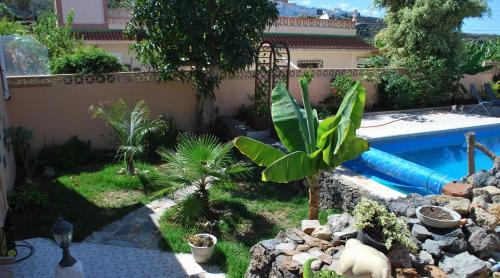 Icod de los Vinos Apartamento | Confortable Estudio con Terraza, Piscina y Barbacoa para Escapadas