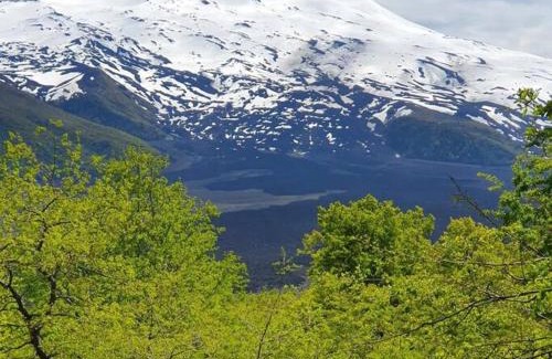 Melipeuco Chalet De Esquí | Conguillio Lava Cave