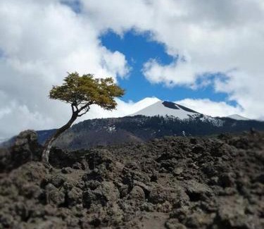 Melipeuco Chalet De Esquí | Conguillio Lava Cave