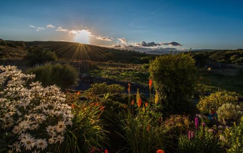Oughterard Cama Y Desayuno | Connemara Haven Bed and Breakfast