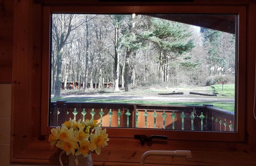 Louth Cabina | Connie Cottage (Log Cabin), Kenwick Park Woods, nr Louth, Lincolnshire