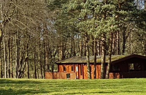 Louth Cabina | Connie Cottage (Log Cabin), Kenwick Park Woods, nr Louth, Lincolnshire