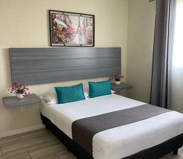 Guadalajara Apartamento | Constanza Lofts Executives en Zapopan Jalisco