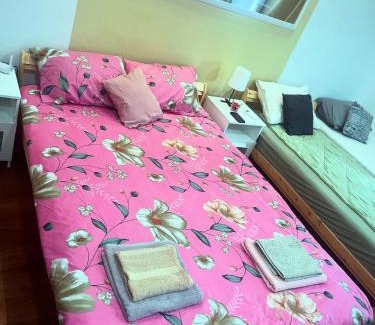 Sumadija Apartamento | Cool Apartman 1 Centar Smederevska Palanka