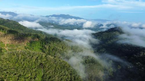 Than To Complejo | COOL CAMPING-Klang Khao1