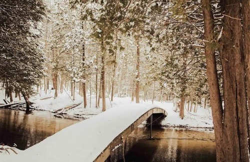 Irons Cabina | Cool Creek Cabin 1 Bedroom 1 Bath on 10 Acres w/creek frontage