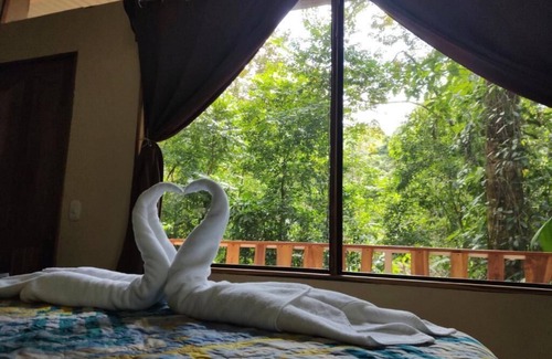 Ballena Hotel | Cool Waters Jungle Villas