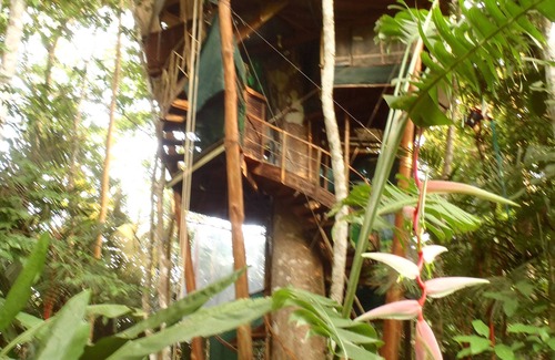 Puerto Jiménez Casa | COOLEST TreeHouseInCostaRica,Sleeps 8,Corcovado & Ocean Views. Full home in tree