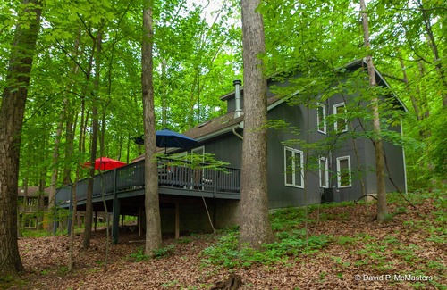 Berkeley Springs Cabaña | Treetop Cottage-Coolfont Mountainside Resort galardonado