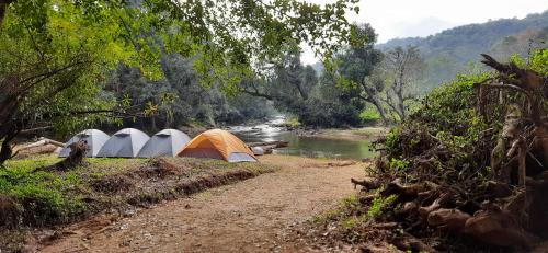 Madikeri Otro | Coorg River Rock Camping