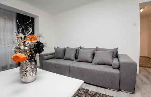 Alba Iulia Apartamento | CooZee Apartment