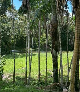Castanhal Casa | COP 30 - Sítio Paraíso Eco Pousada