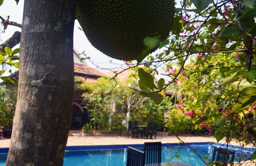 Prasat Bakong Hotel | Copa Boutique Resort