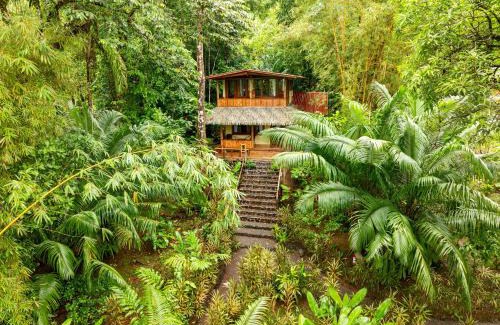 Bahía Drake Complejo | Copa De Arbol Beach & Rainforest Resort