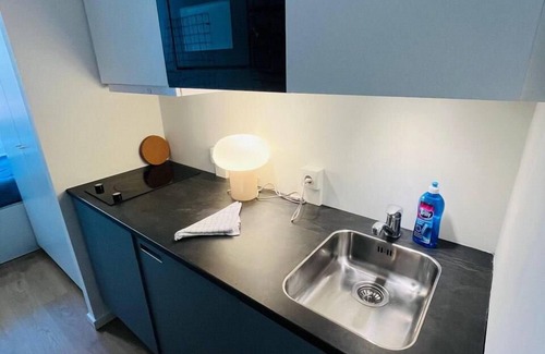 København NV Apartamento | Copenhagen Studio with Double Bed and Kitchen