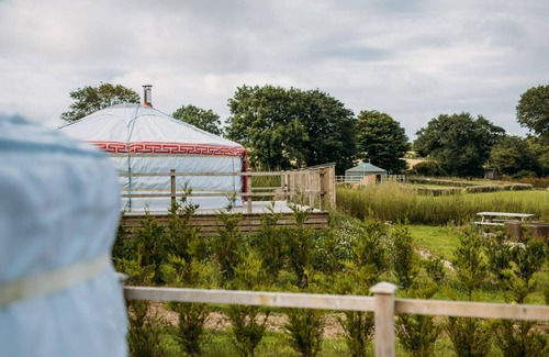 Newquay Cabina | Copper Beech - A luxury Mongolian-inspired Yurt in eco-friendly glamping hideout near Newquay
