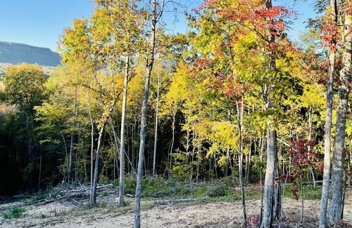 Winona Alquiler De RV | Copperhead Cabin #1 with trail access ! Pet Friendly