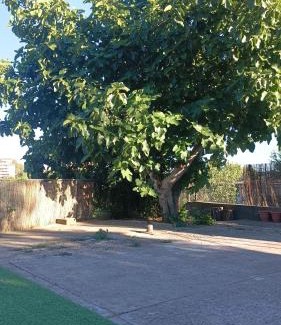 Barbastro Casa | Coqueta y agradable casita muy cerquita del centro