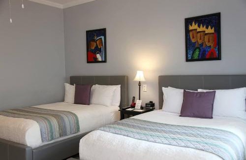 Condado Hotel | Coral Princess Hotel