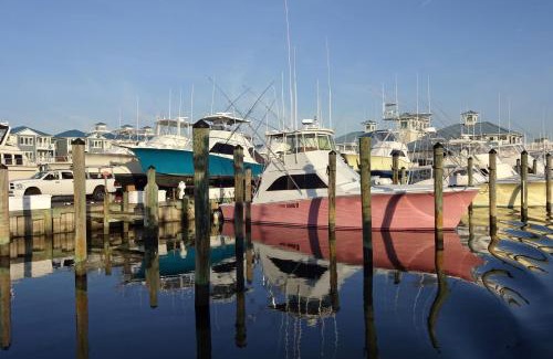 Ocean Pines Casa | Coral Shells