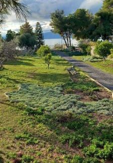 Agii Theodori Villa | Coralia's beachfront sea view studio