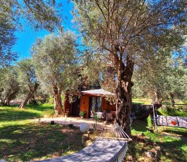 Ulcinj Casa | Coratina Cottage
