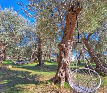 Ulcinj Casa | Coratina Cottage