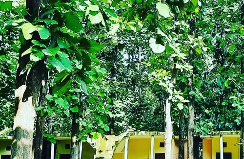 Mohaan Cabina | Corbett JungleInn Riverside Jungle Retreat Camp